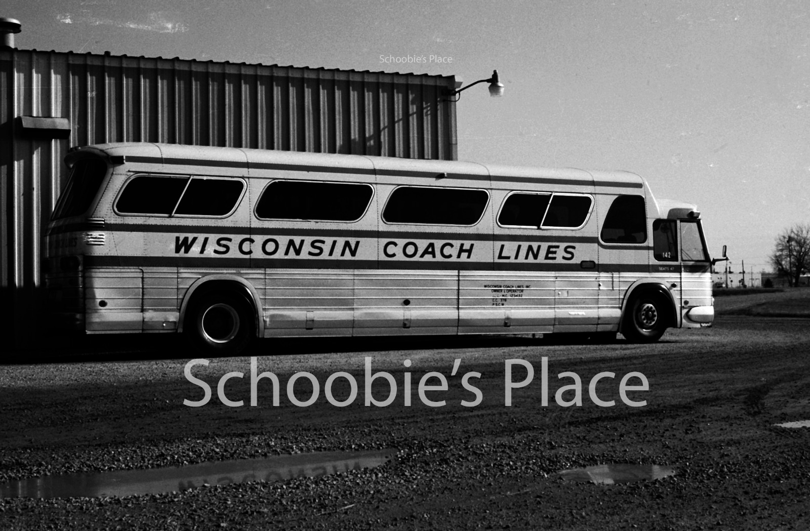 Vtg 1981 Wisconsin Coach Lines Bus (GMC 1972 P8M-4905A) 8×10 B&W Photo Reprint