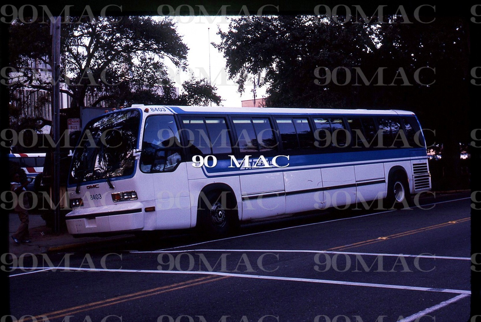 TALTRAN. GM RTS BUS #8403. Tallahassee (FL). Original Slide 1984.
