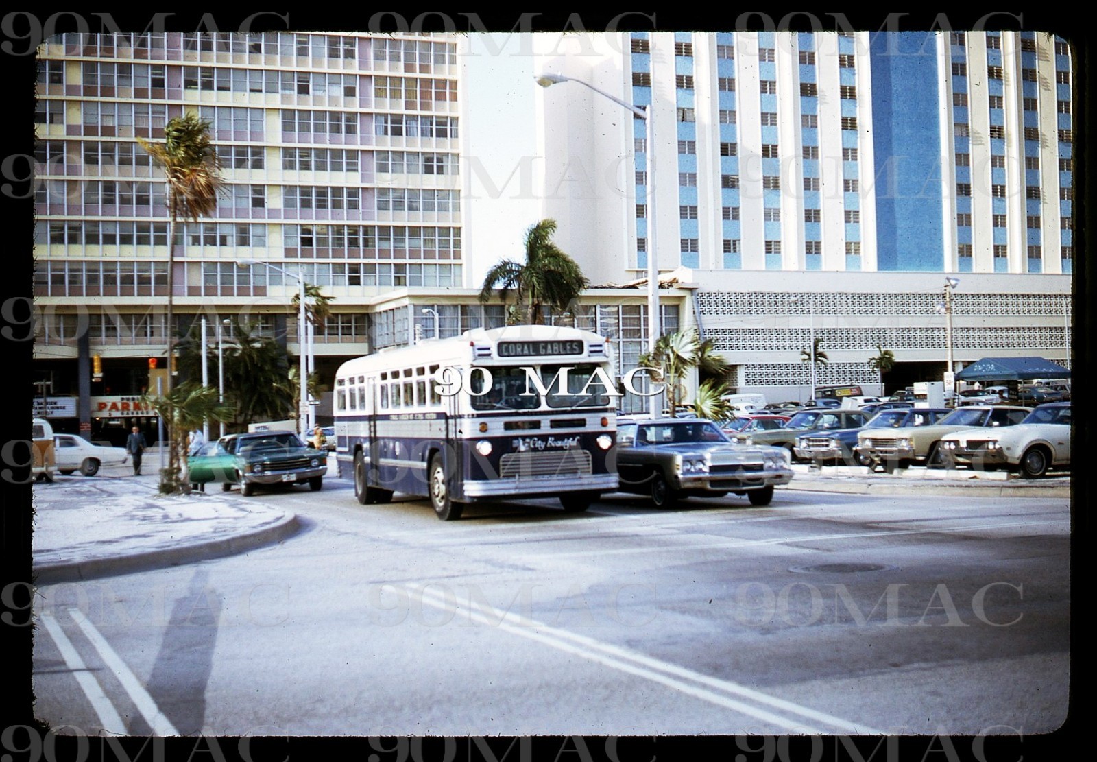 CGMS. SOUTHERN COACH BUS #241. Coral Gables (FL). Original Slide 1972.