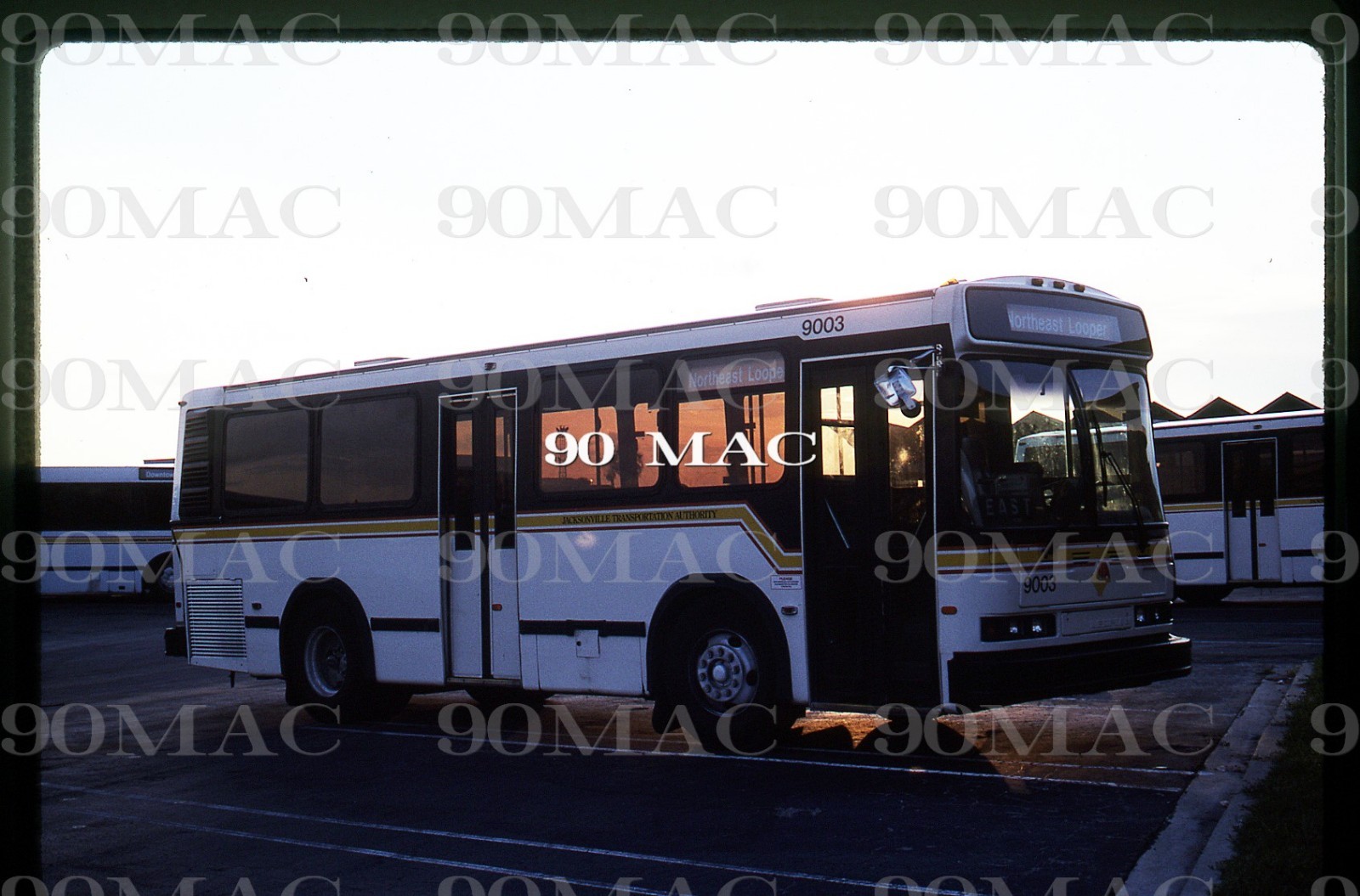 JTA. NEOPLAN BUS #9003. Jacksonville (FL). Original Slide 1991.