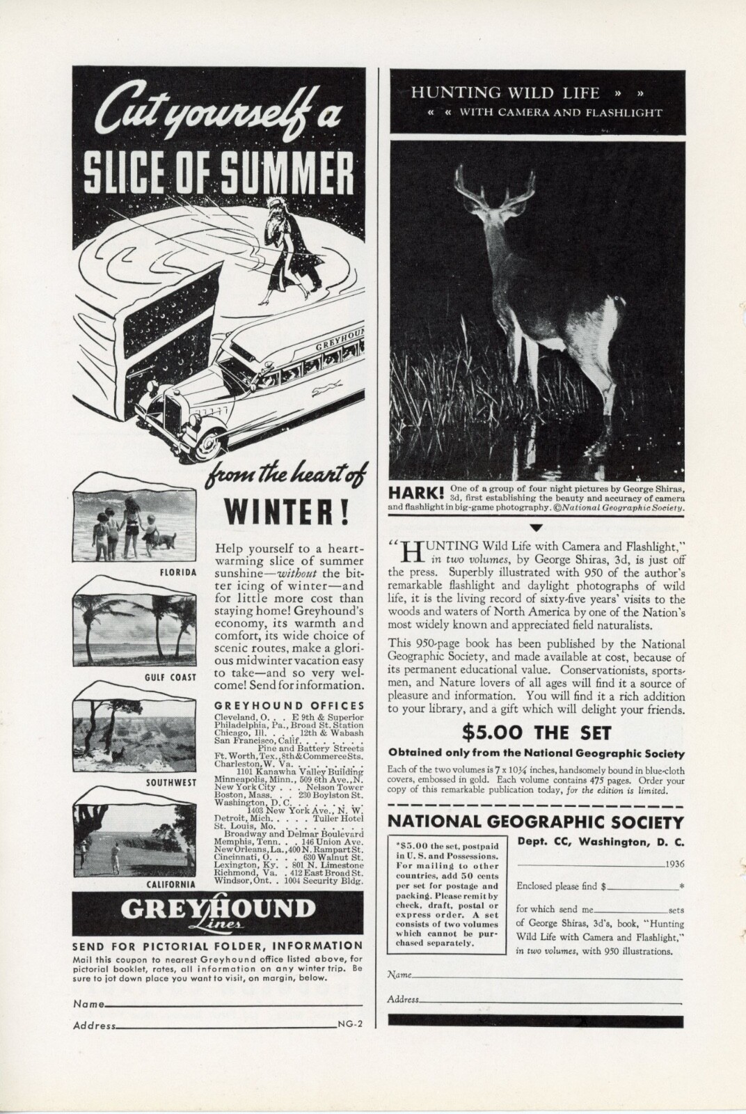 1936 Greyhound Bus Lines Vintage Travel Ads x2 Vacation Trips Summer Winter