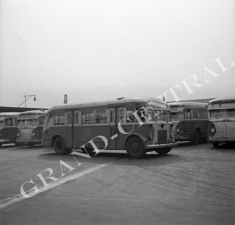 ORIGINAL 1948 NYCTS NEW YORK CITY BUS NEGATIVE #341 STATEN ISLAND NY NYCTA