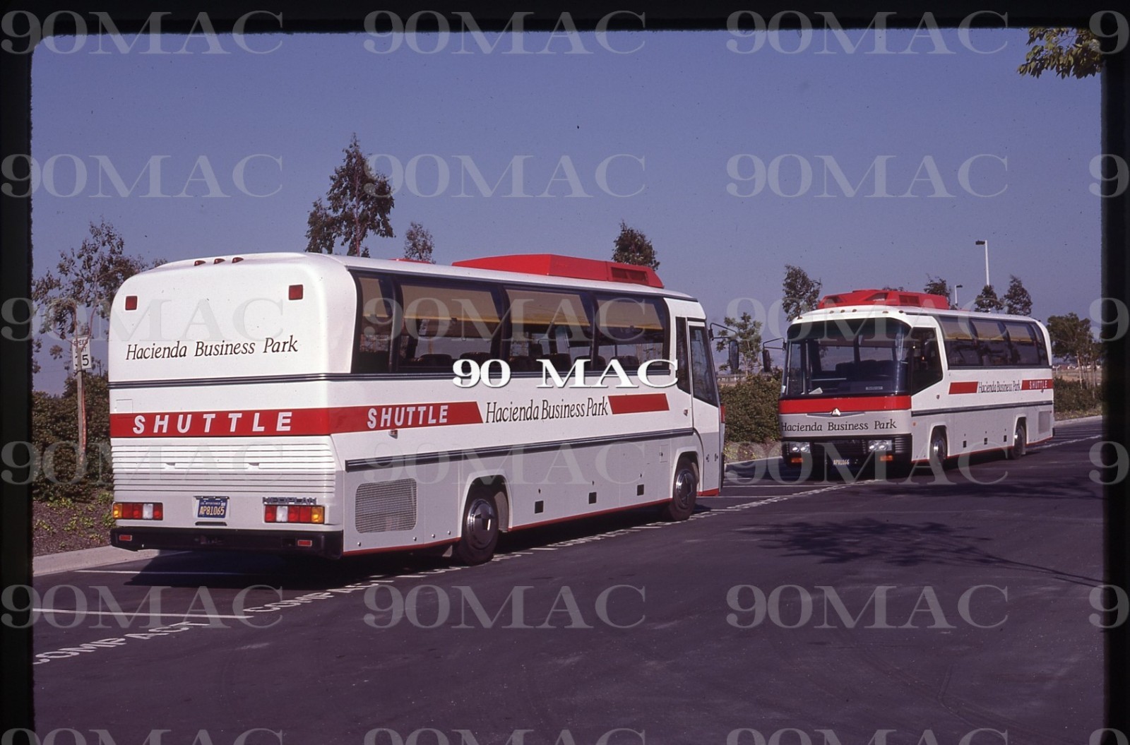 HACIENDA COACHES. NEOPLAN COACH. Pleasanton (CA). Original Slide 1985. (B)
