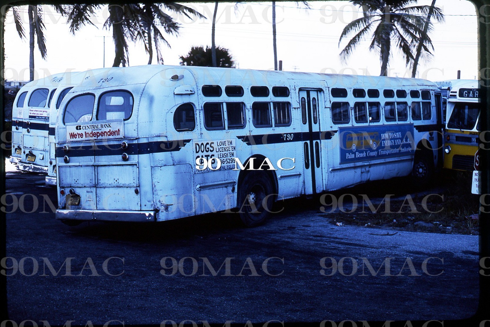 MIAMI-DADE TRANSIT. GM COACH BUS #730. Miami (FL). Original Slide 1976.