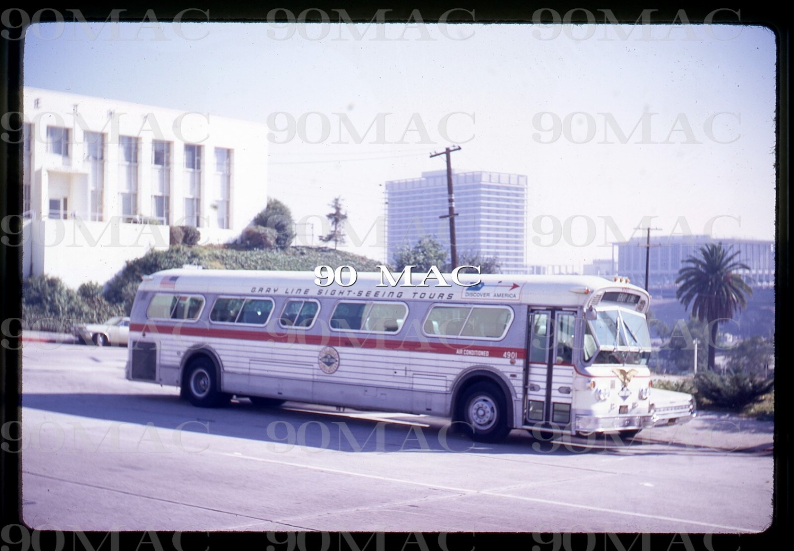 GRAY LINE-GLOLA. FLXIBLE BUS #4901. Los Angeles (CA). Original Slide 1968.