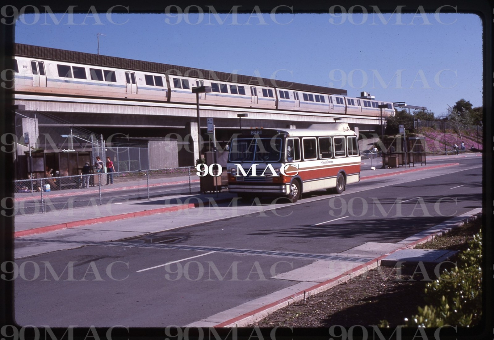 CCCTA. CHANCE BUS #016. Concord (CA). Original Slide 1984. (A)