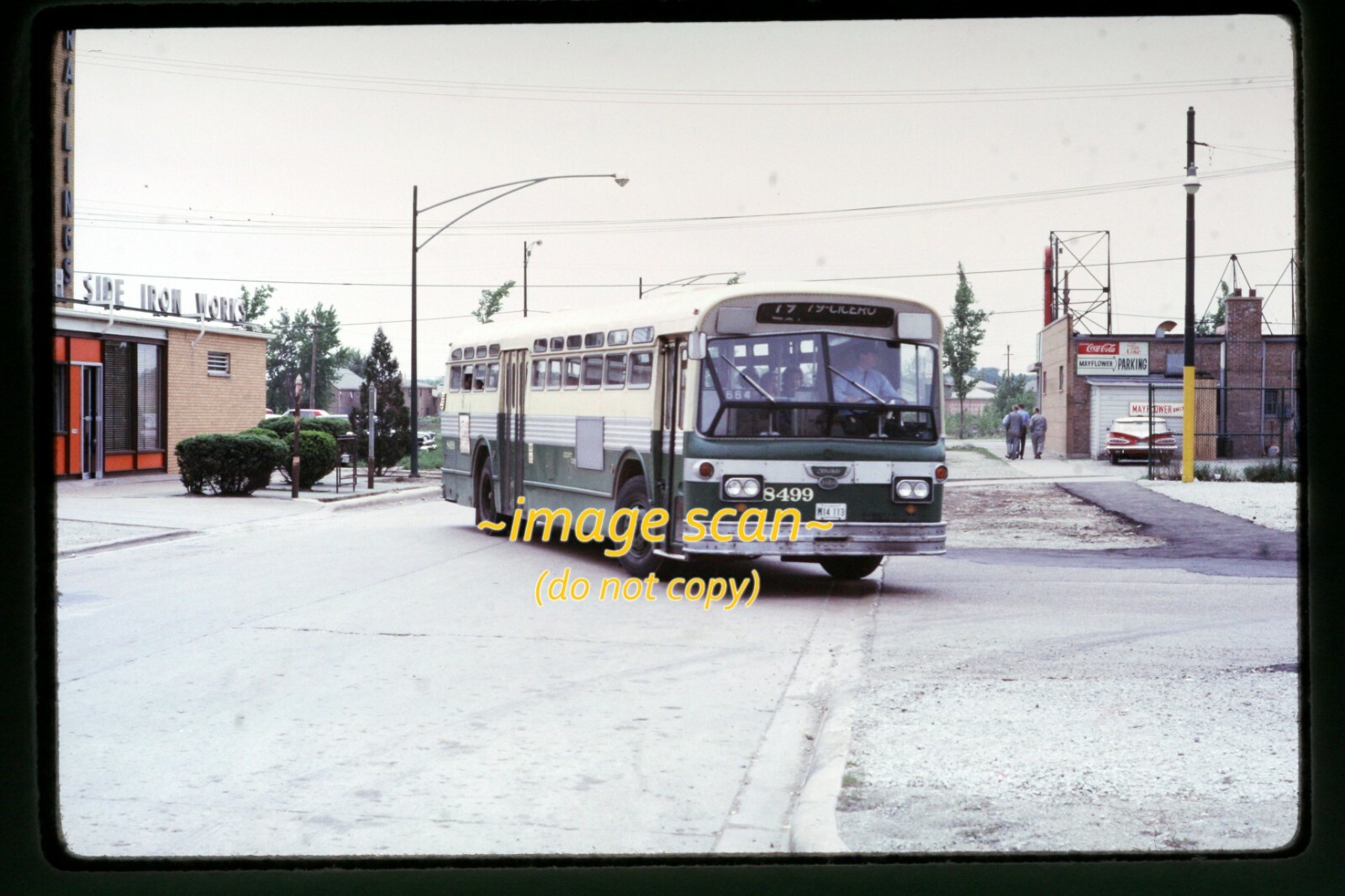 CTA Chicago Transit Bus 8499 in 1965, Kodachrome Slide h17b