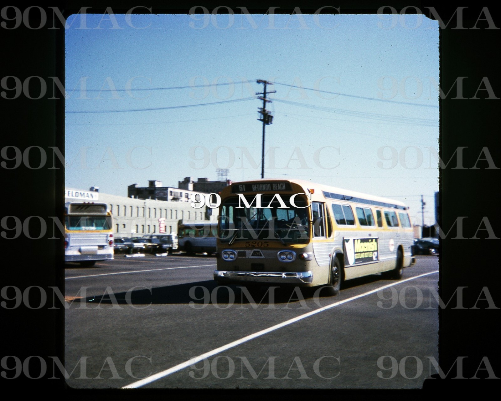 SCRTD GM COACH #5205. Los Angeles (CA). Original Slide 1971. Maple Lot.