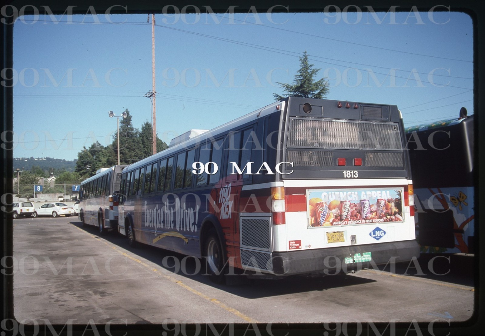 TRI-MET. Portland (OR). FLXIBLE BUSES #1852-1813-1796. 4 Original Slides 1996.