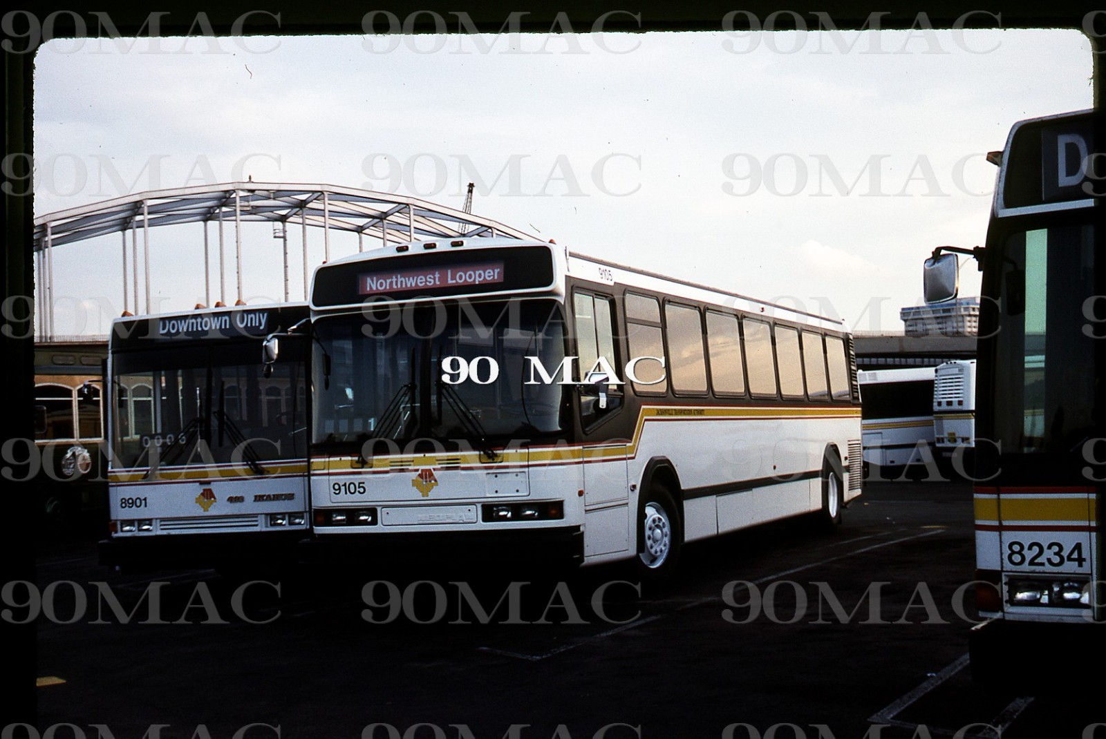 JTA. NEOPLAN BUS #9105. Jacksonville (FL). Original Slide 1991.