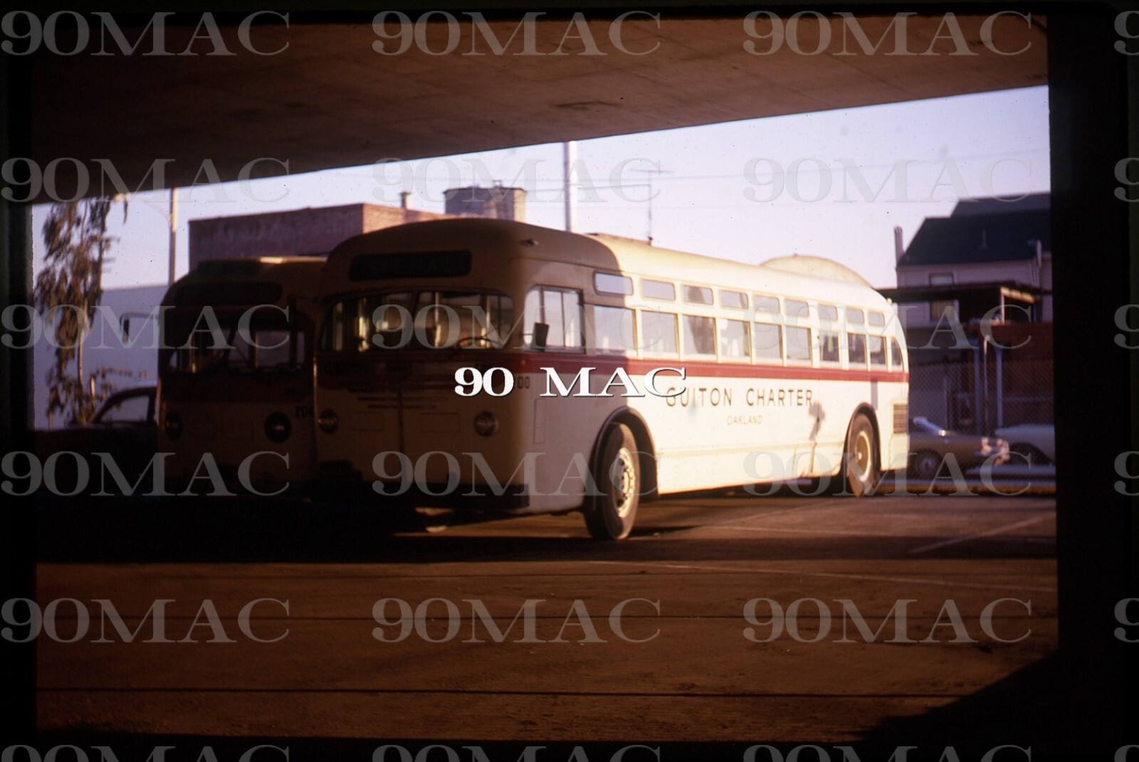 GUITON CHARTER. MACK BUS #200. Oakland (CA). Original Slide 1969.
