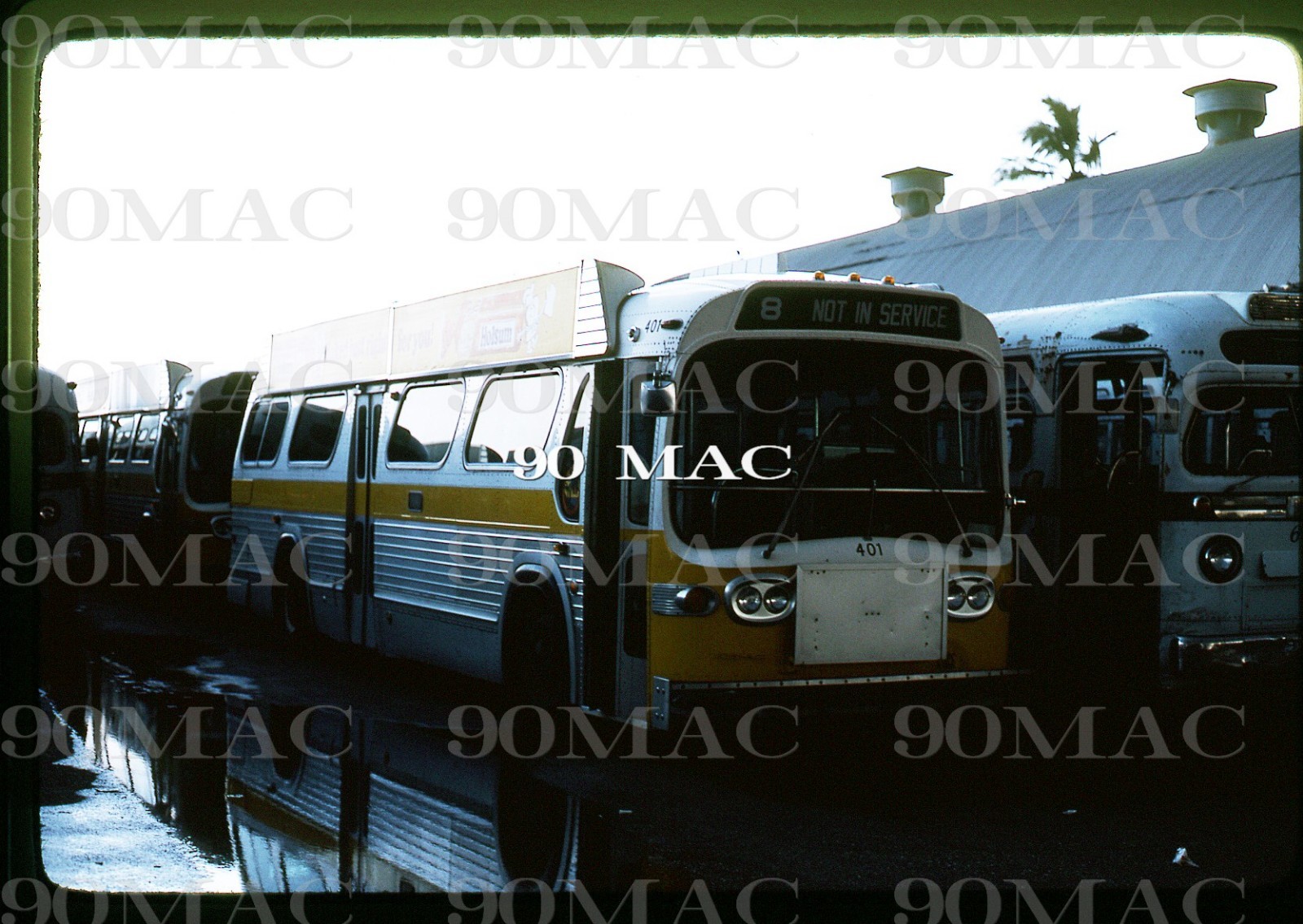 COTRAN. GM COACH BUS #401. West Palm Beach (FL). Original Slide 1976.