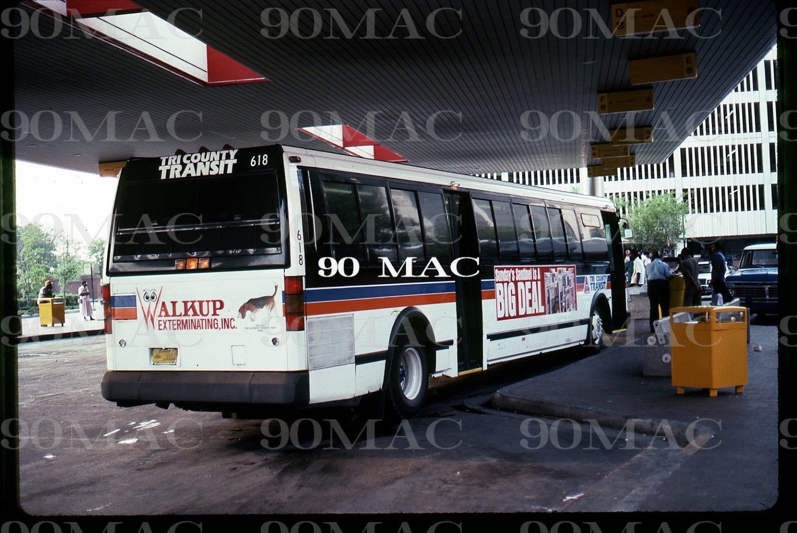 TRI COUNTY TRANSIT. GRUMMAN 870 #618. Orlando (FL). Original Slide 1989.