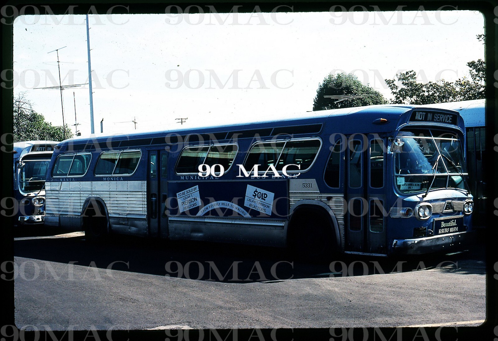 SMMBL GM COACH #5331. Santa Monica (CA). Original Slide 1979.