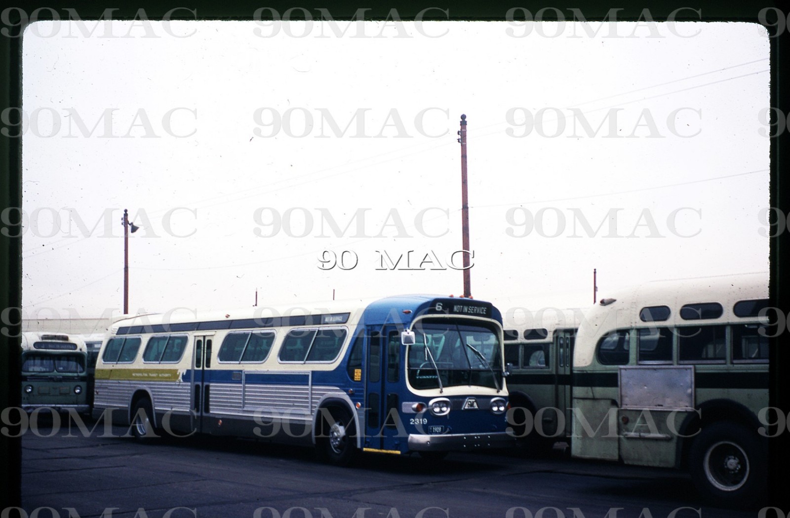 BALTIMORE MTA. GM COACH BUS #2319. Baltimore (MD). Original Slide 1971.