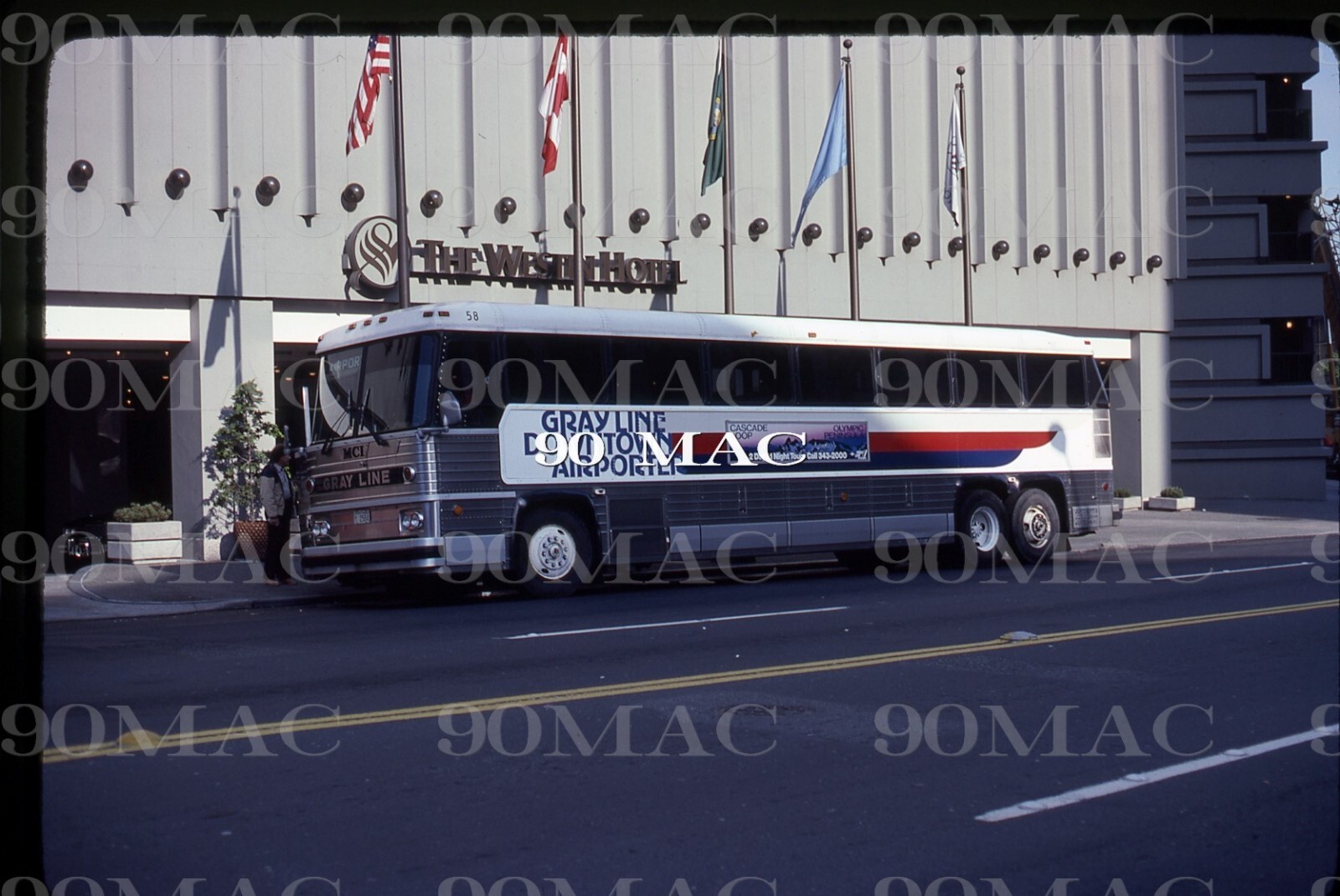 GRAY LINE. MCI BUS #58. Seattle (WA). Original Slide 1982.