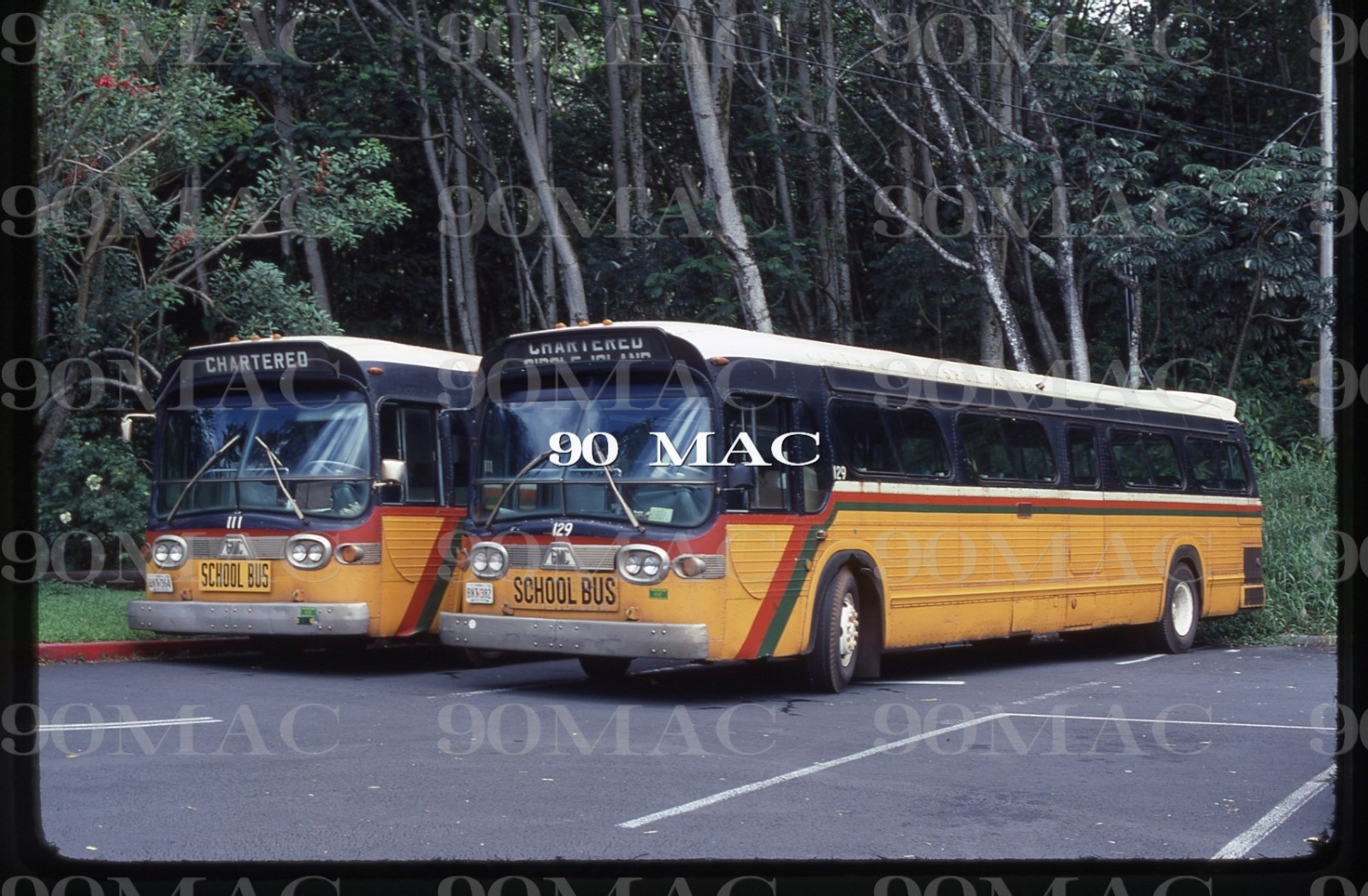 CENTRAL TRANSPORTATION. GM BUSES #112-129. Honolulu (HI). Original Slide 1981.