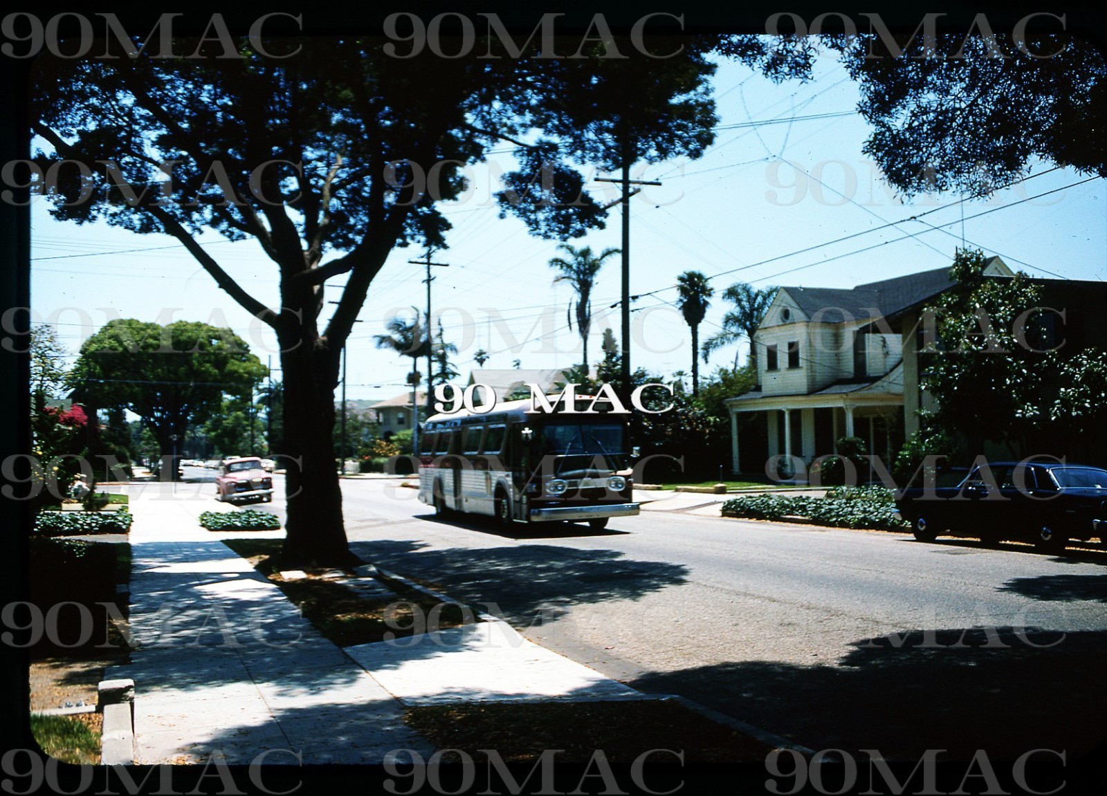 SBMTD. Santa Barbara (CA). GM COACH BUS #204. Original Slide 1972.