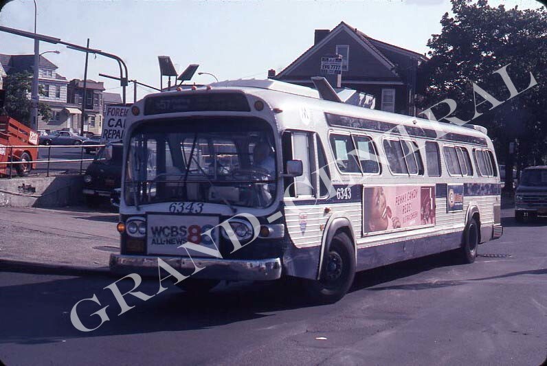ORIGINAL 1981 NYCTA NEW YORK CITY BUS SLIDE GM #6343 B57 BROOKLYN NY TA