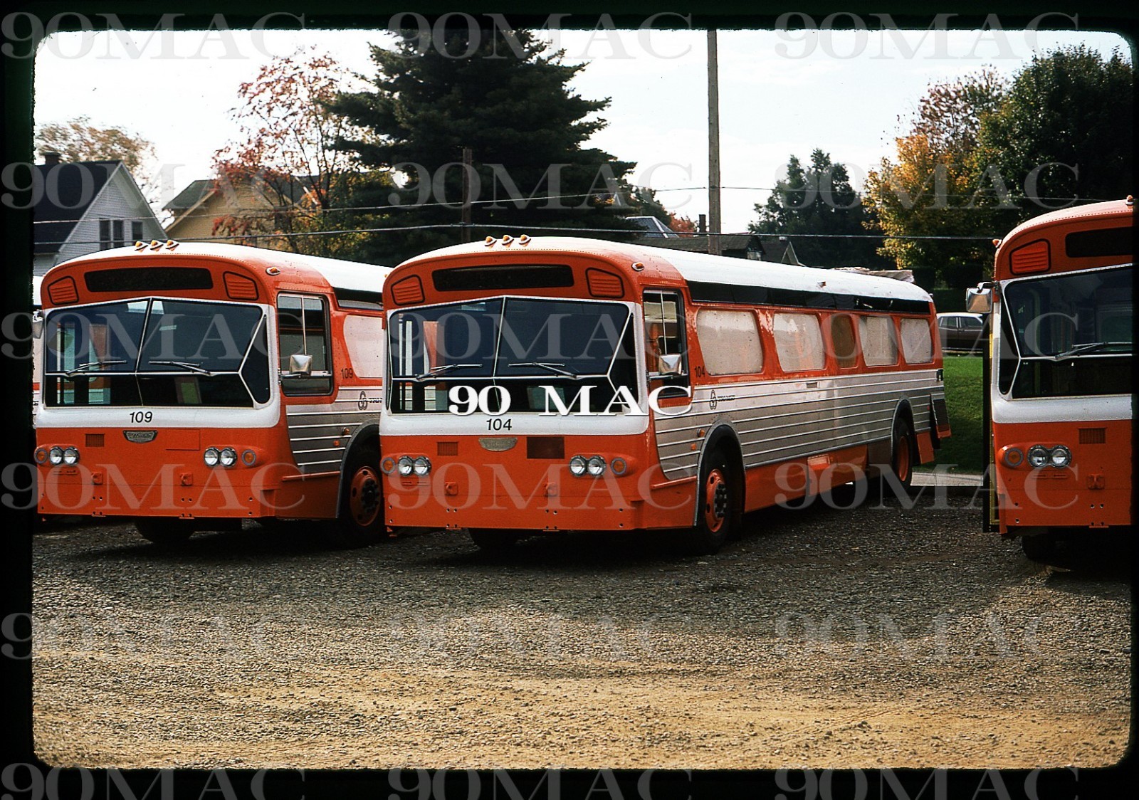 TRI-MET. FLXIBLE BUS #109 & 104. Portland (OR). Original Slide 1974. FACTORY!