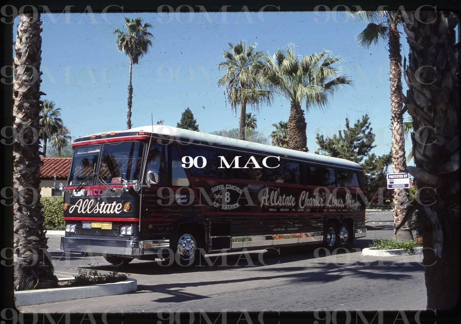 ALLSTATE CHARTER LINES. MC8 COACH. Palm Springs (CA). Original Slide 1981.
