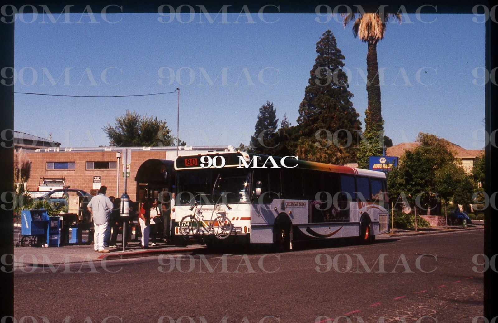 GOLDEN GATE TRANSIT-GGT. ORION V BUS #1574.San Rafael (CA). Original Slide 2009.