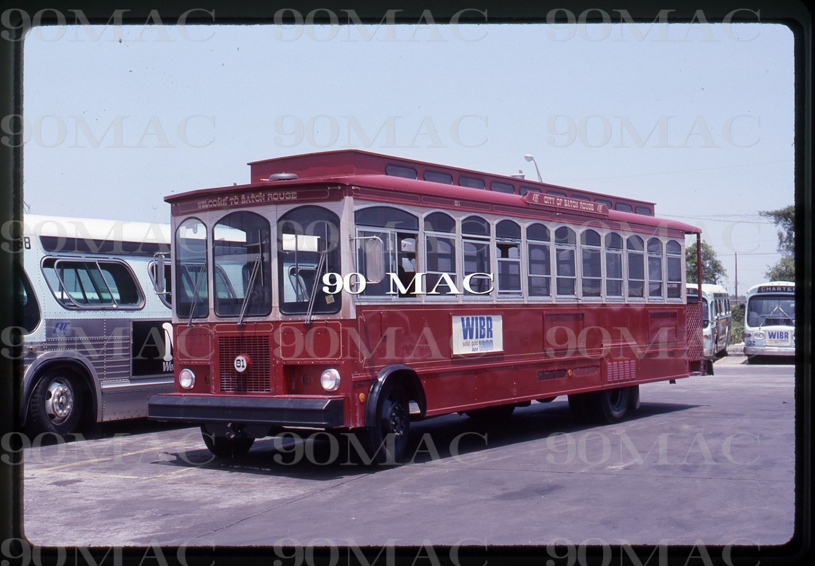 CAPITAL TRANSIT CORP. TROLLEY BUS #81. Baton Rouge (LA). Original Slide 1988.