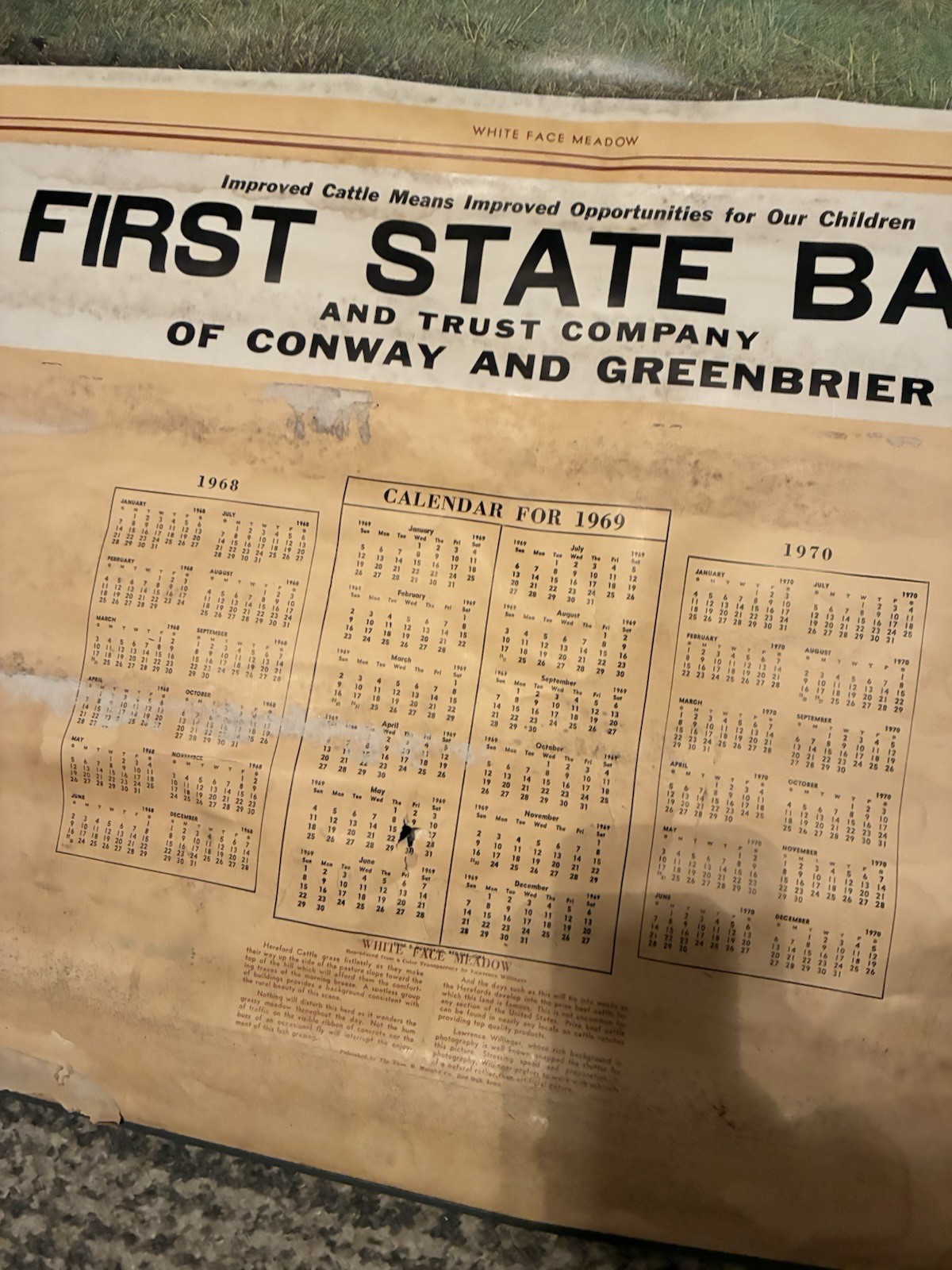 1968-70 Calendar From Conway, Greenbrier Arkansas White Face Cattle HUGE