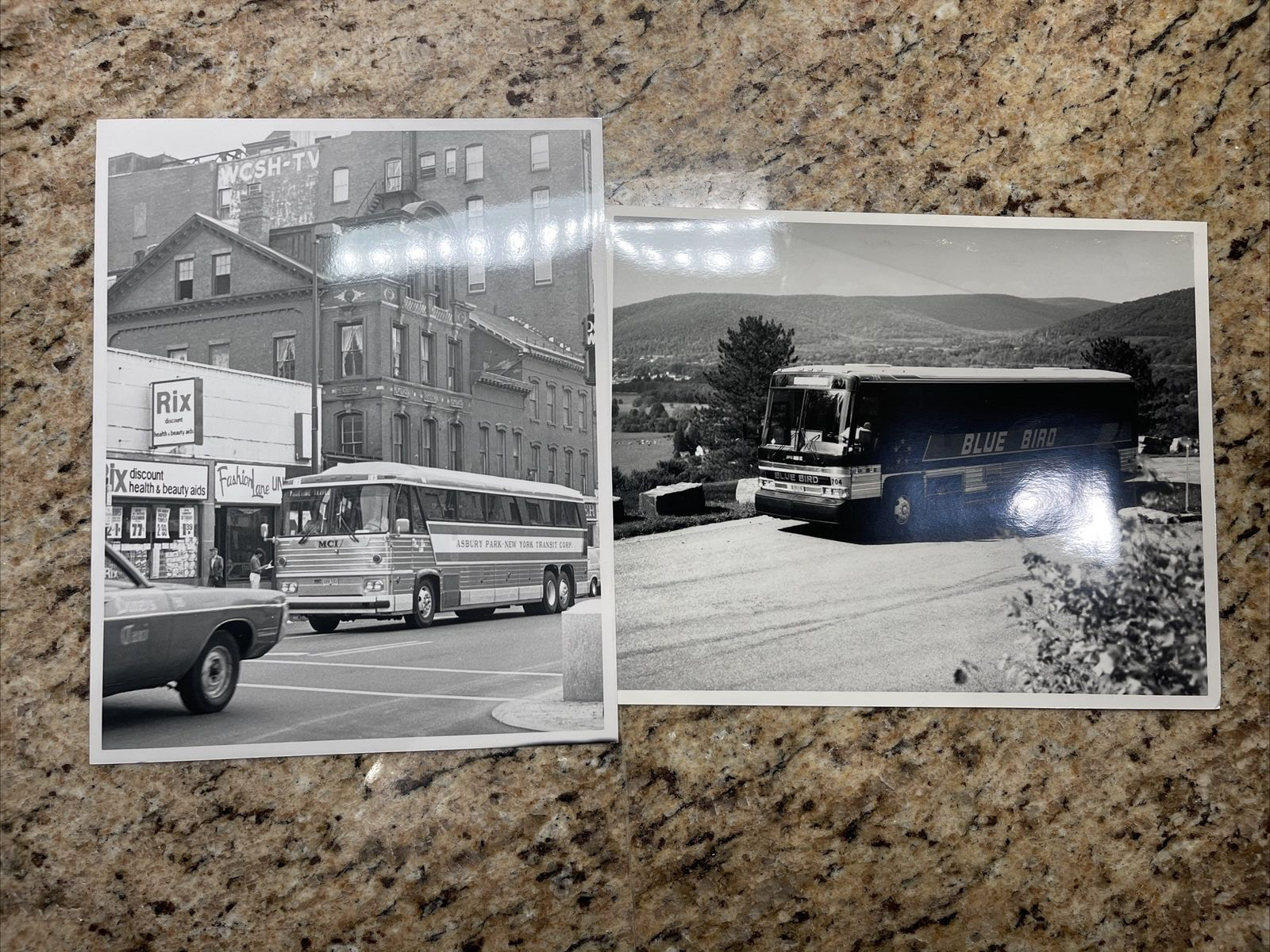 20 bus photographs. 8×10 Black and White Photos