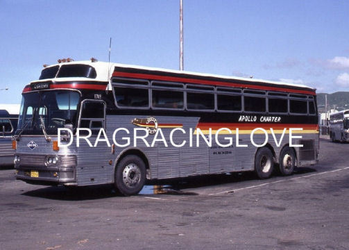 “Silver Eagle” “Apollo Charter” Bus “Roadside Americana” PHOTO! #(9)