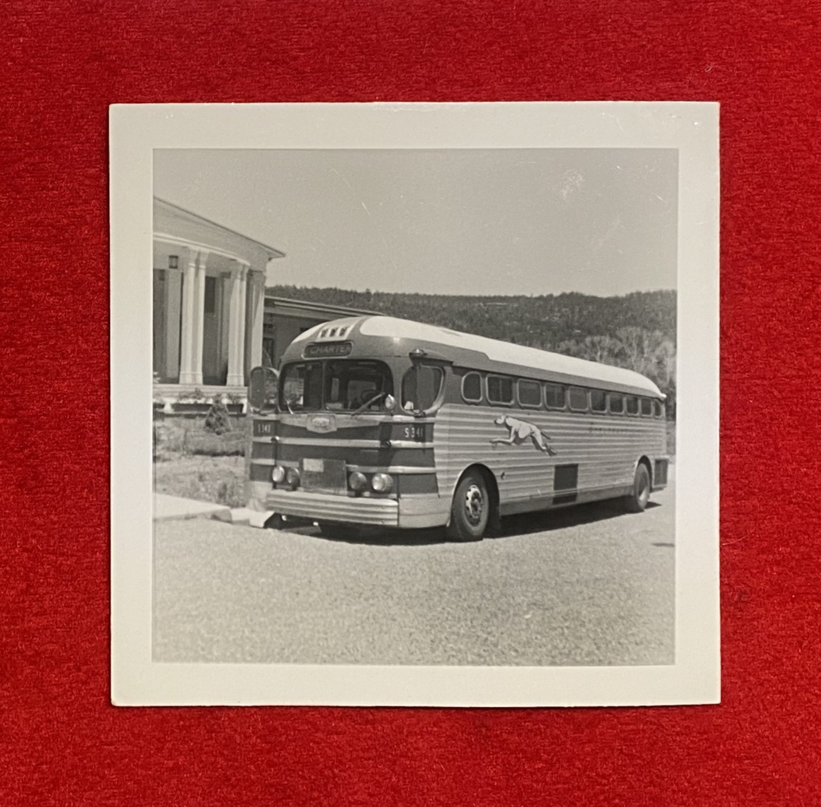 1950c ***GREYHOUND BUS*** {ORIGINAL} KODAK-VELOX-PAPER PHOTOGRAPH! GREAT SHOT!