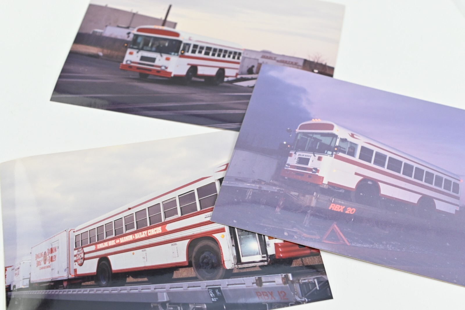 Transportation Ringling Brothers Barnum Bailey Blue Bird RED Bus Snapshot A4R