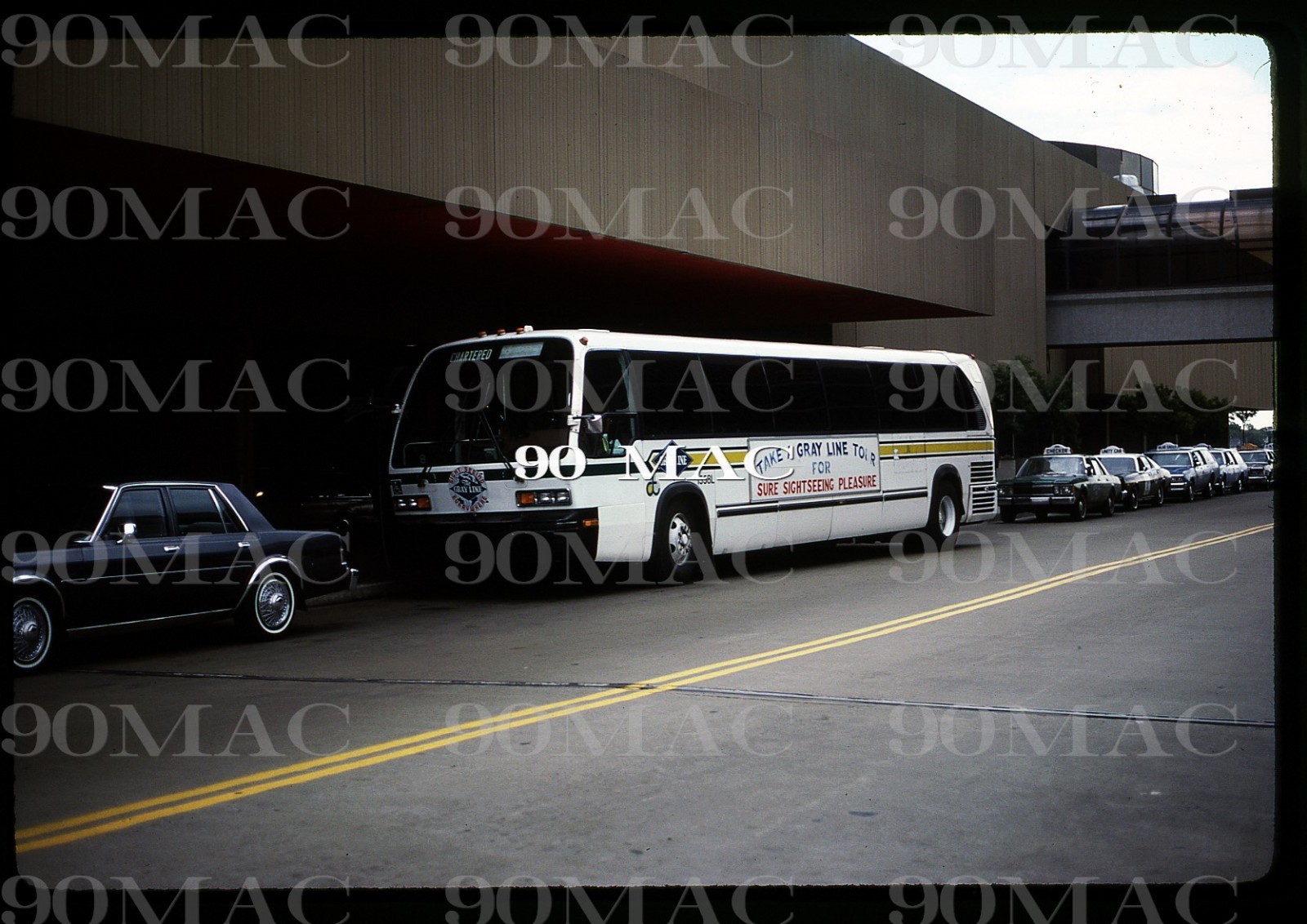 DDOT. GM RTS BUS #1558L. Detroit (MI). Original Slide 1985. GRAY LINE!