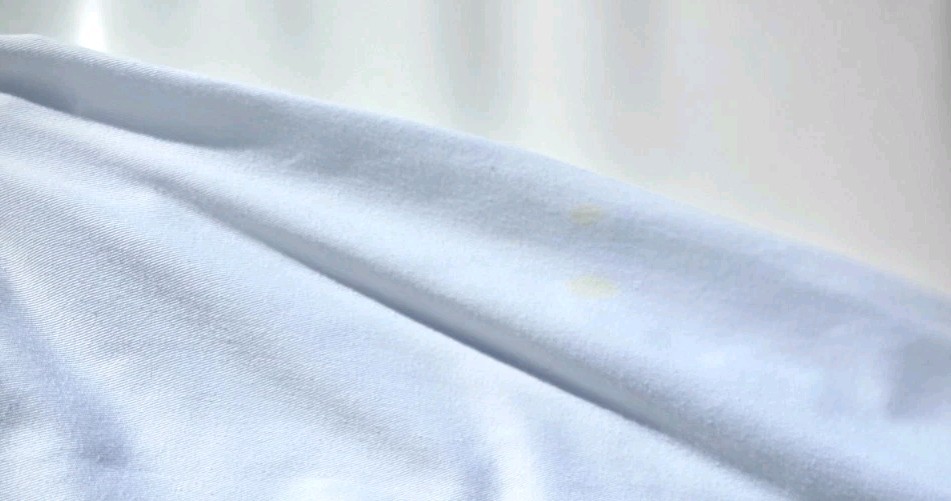 Greyhound Bus Mens White Shirt XXL 100% Egyptian Cotton Long Sleeve Shirt