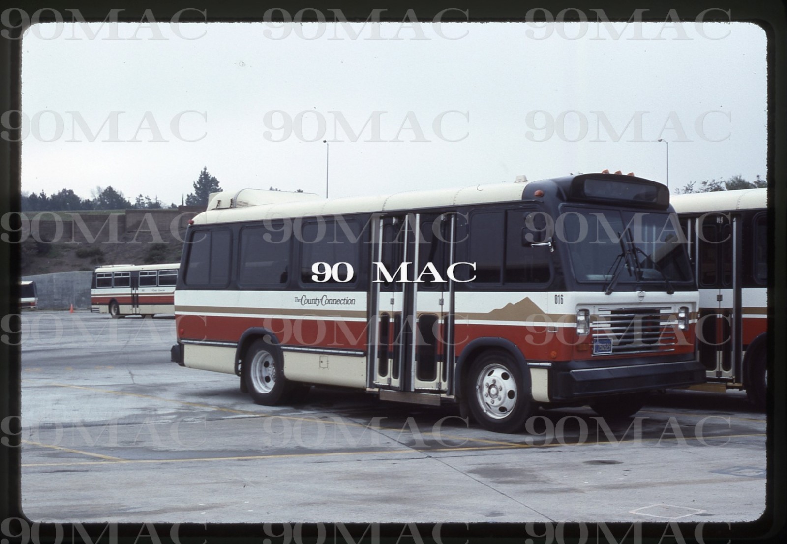 CCCTA. CHANCE BUS #016. Concord (CA). Original Slide 1989.