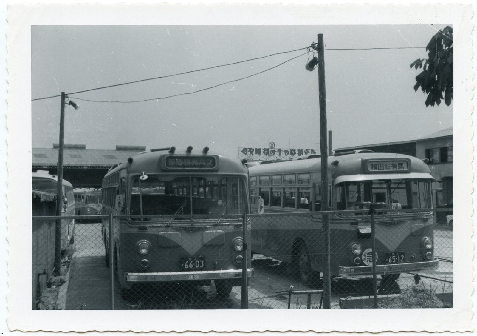 6D499 RP 1950/60s OSAKA JAPAN BUS DEPOT