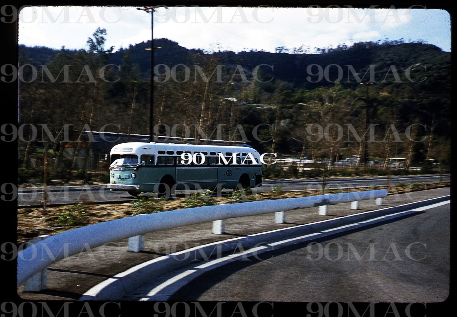 LAMTA. GM COACH BUS #2955. Los Angeles (CA). Duplicate Slide 1960? Griffith Park