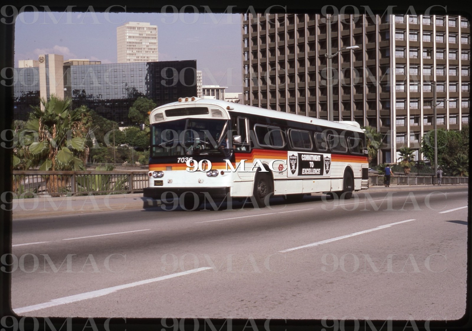 RTD-SCRTD. FLXIBLE BUS #7036. Los Angeles (CA). Original Slide 1985.