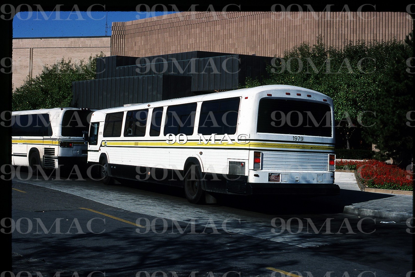 DDOT. GMDD CLASSIC BUS #1979. Detroit (MI). Original Slide 1988.