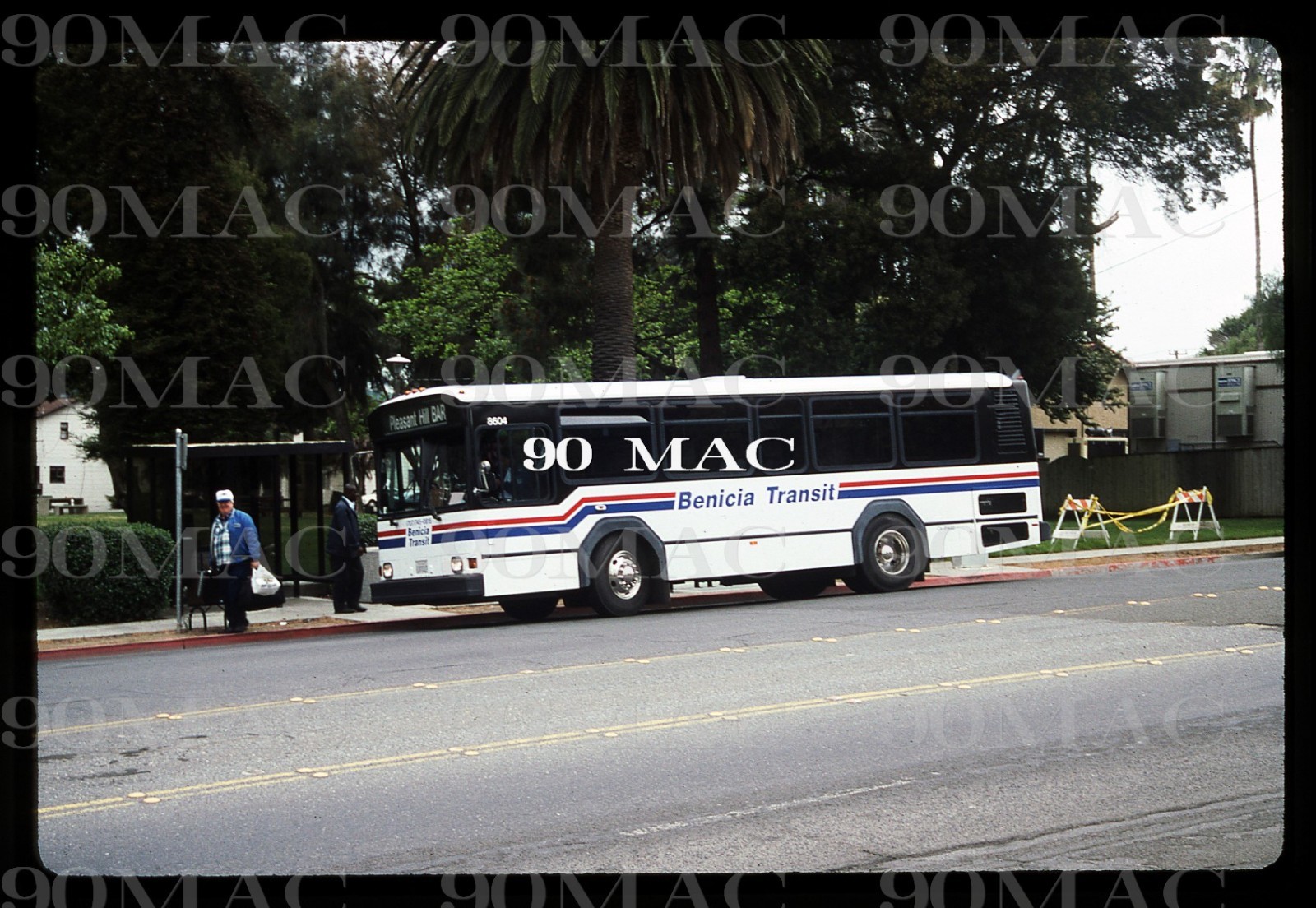 BENICIA TRANSIT. GILLIG BUS #8604. Benicia (CA). Original Slide 1996. (A)