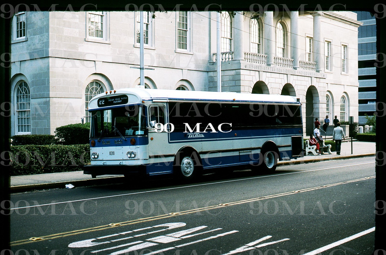 TALTRAN. BLUE BIRD BUS #8201. Tallahassee (FL). Original Slide 1984. (A)