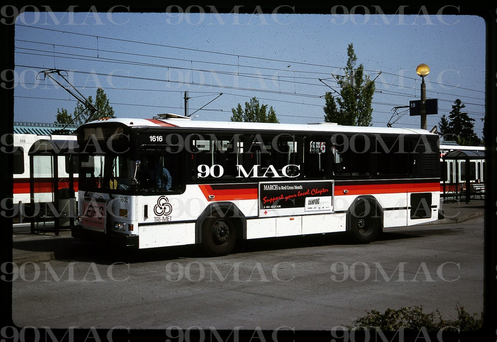 TRI-MET. GILLIG BUS #1616. Portland (OR). Original Slide 1998.