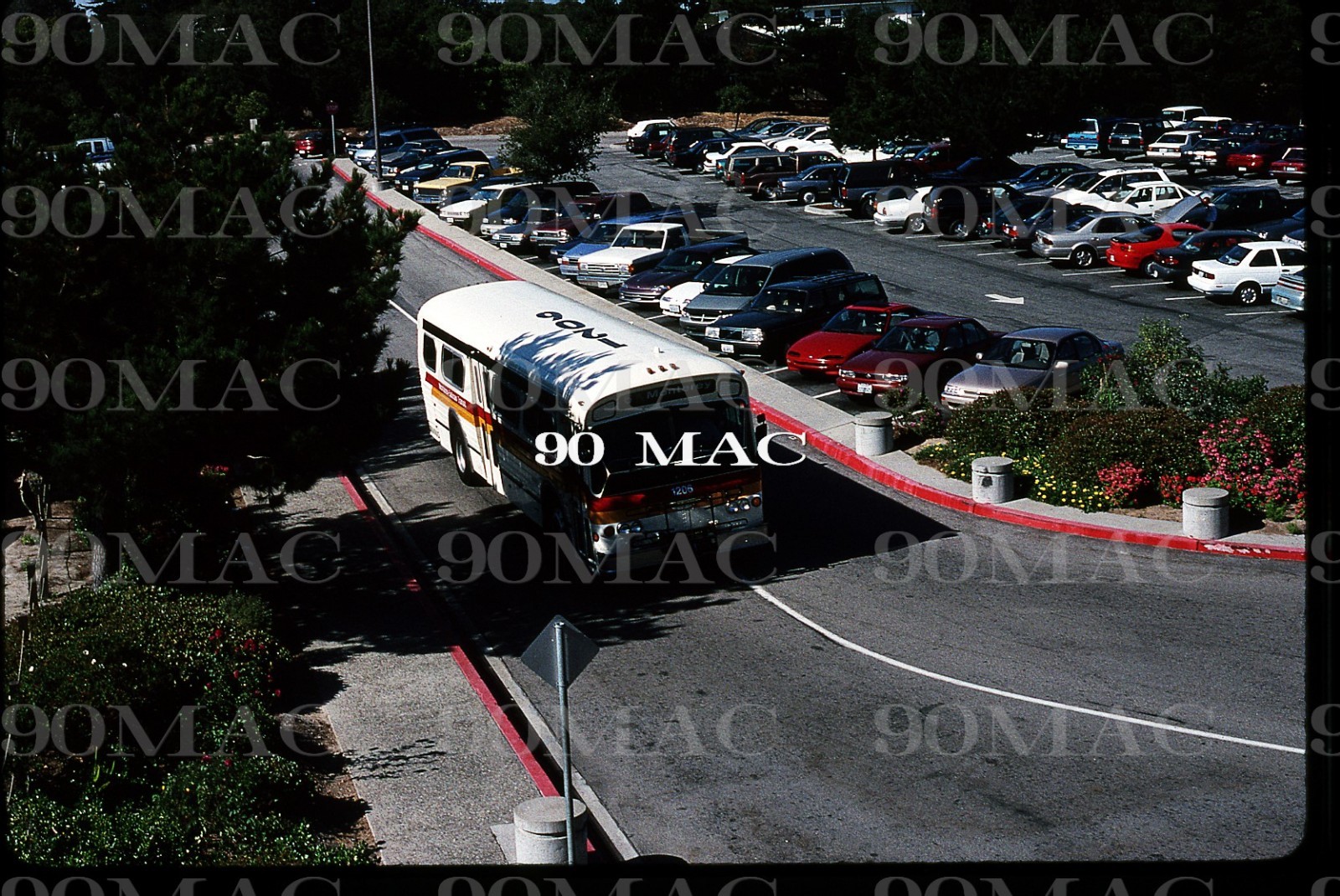 MST. FLXIBLE BUS #1206. Monterey (CA). Original Slide 1997. (B)
