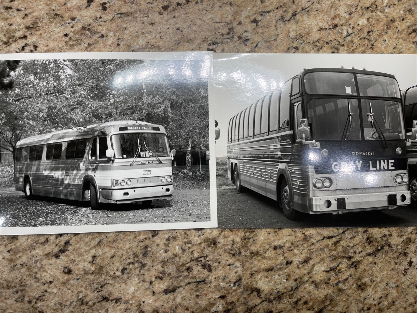 20 bus photographs. 8×10 Black and White Photos
