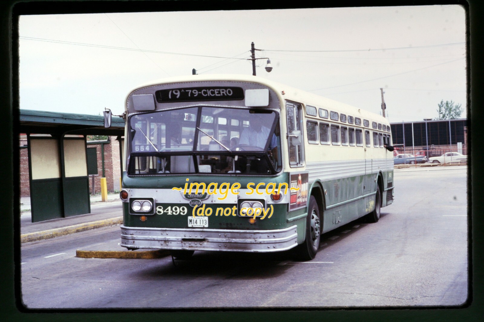 CTA Chicago Transit Bus 8499 in 1965, Kodachrome Slide h17b