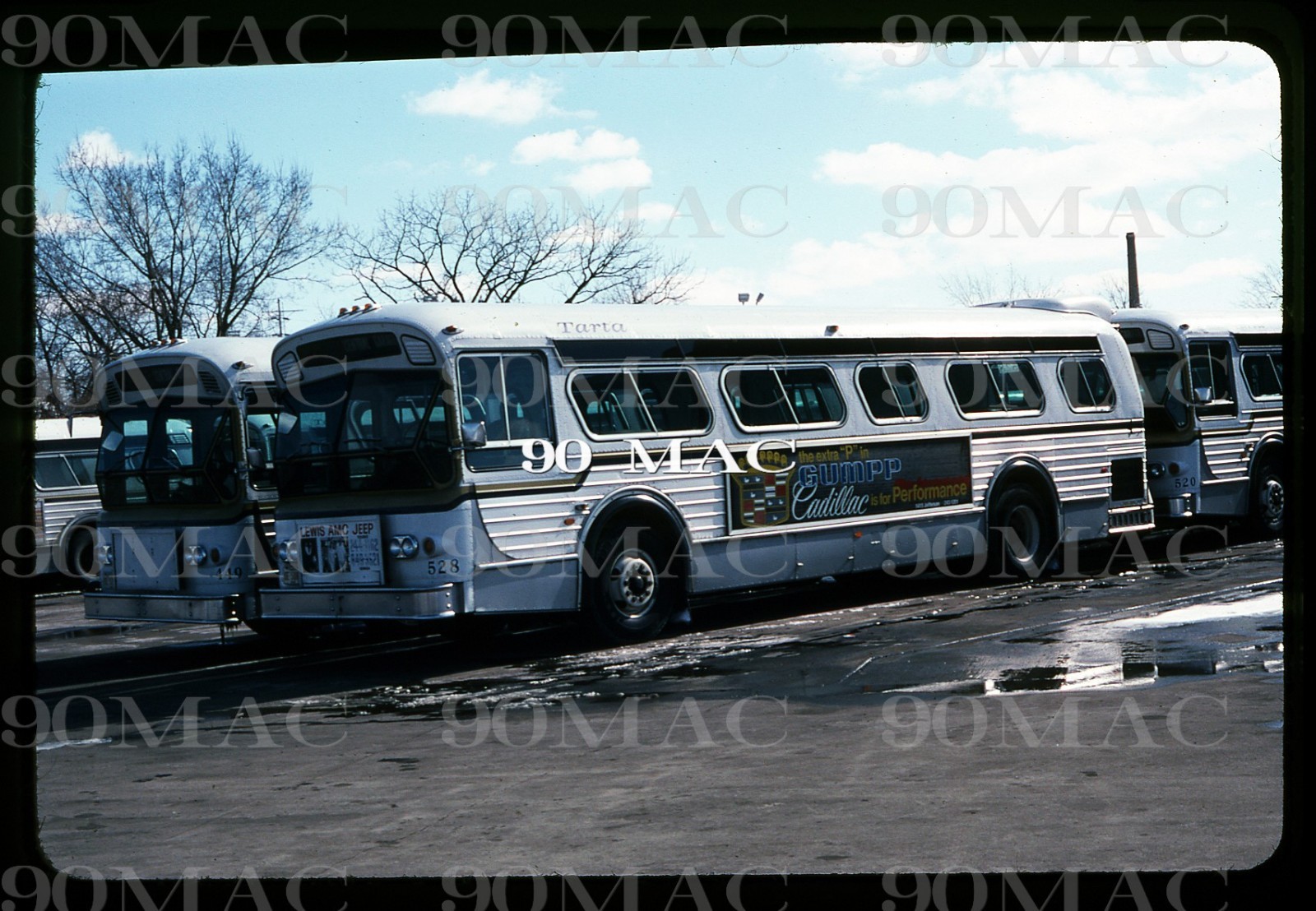 TARTA. FLXIBLE BUS #528. Toledo (OH). Original Slide 1978.