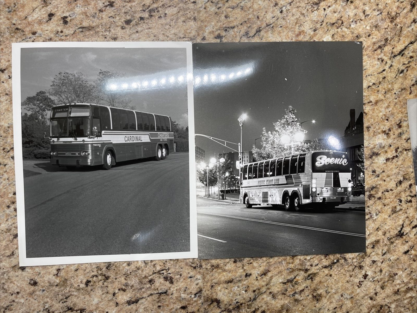 20 bus photographs. 8×10 Black and White Photos