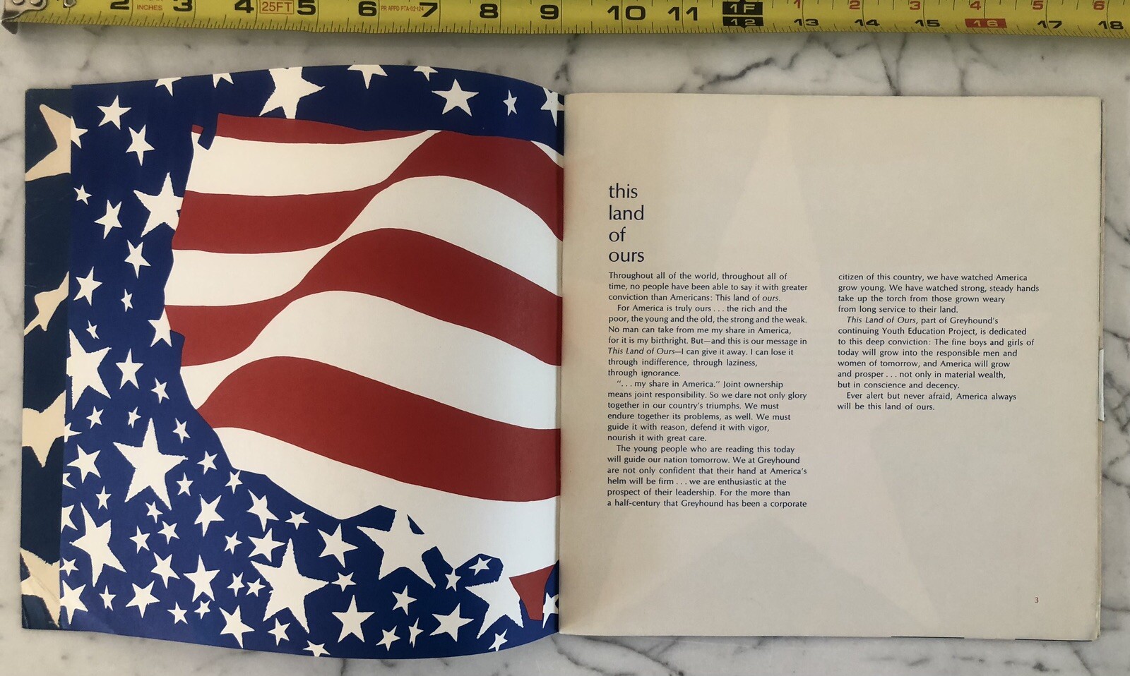 Rare Vintage 60’s Vegas Greyhound Bus USA Brochure Flag Patriot Veterans Book