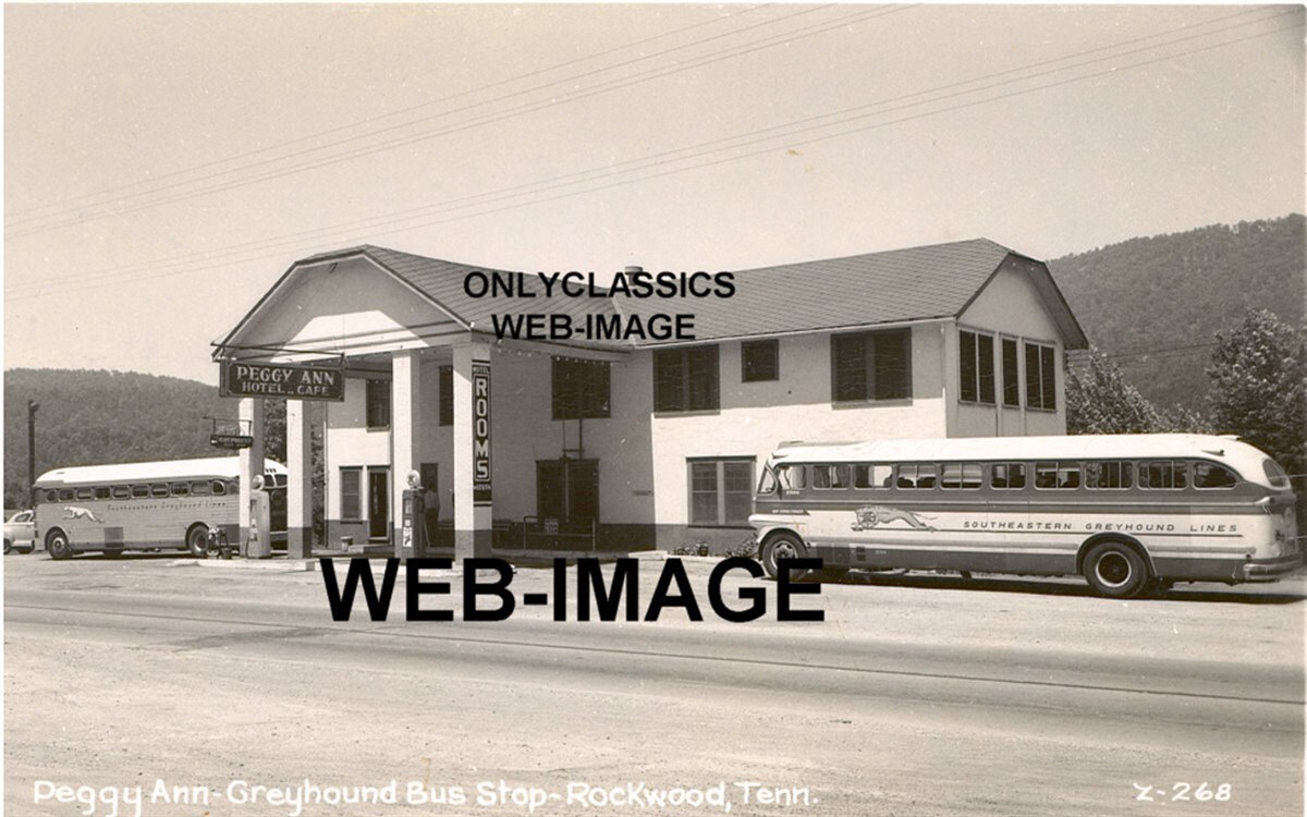 1950 GREYHOUND BUS TEXACO TEXACO GAS STATION GLOBE PUMP CAFE PHOTO ROADSIDE TN