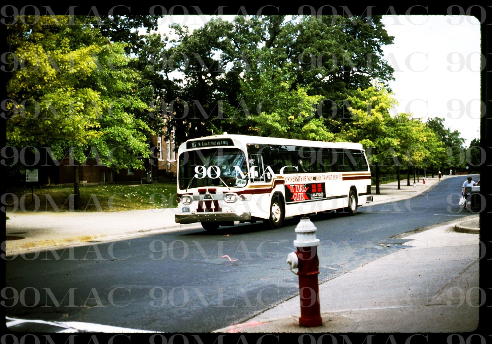 MEDICINE LAKE-UM. GM COACH #435. Minneapolis (MN). Original Slide 1994.